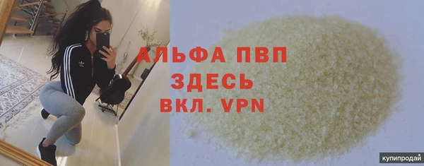 стаф Липки