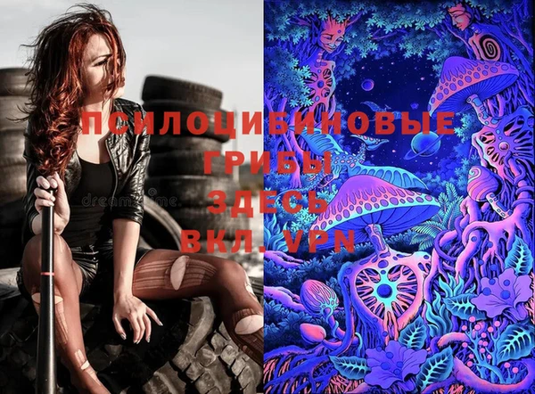 стаф Липки