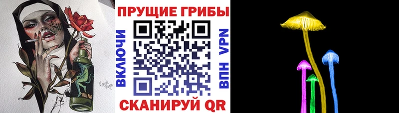 Псилоцибиновые грибы Cubensis хочу наркоту hydra ONION Сухиничи